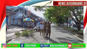 Satpol PP Kabupaten Nabire Bersihkan Ranting Pohon di Jalan Merdeka