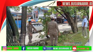 Satpol PP Kabupaten Nabire Bersihkan Ranting Pohon di Jalan Merdeka