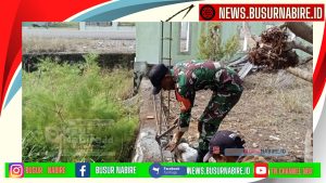 Babinsa Koramil 1705-02/Napan, Pratu Rudi Waray Gotong Royong Pembangunan Pagar Kampung Maidey Semakin Lancar