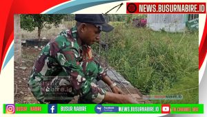 Babinsa Koramil 1705-02/Napan, Pratu Rudi Wara Gotong Royong Pembangunan Pagar Kampung Maidey Semakin Lancar