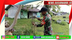 Babinsa Koramil 1705-02/Napan, Pratu Rudi Wara Gotong Royong Pembangunan Pagar Kampung Maidey Semakin Lancar