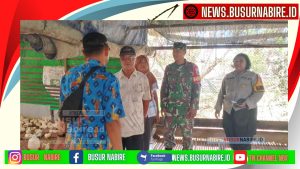 Dukung Program Ketahanan Pangan, Babinsa Nabire Dampingi Penyaluran Bibit Ayam Potong ke Warga