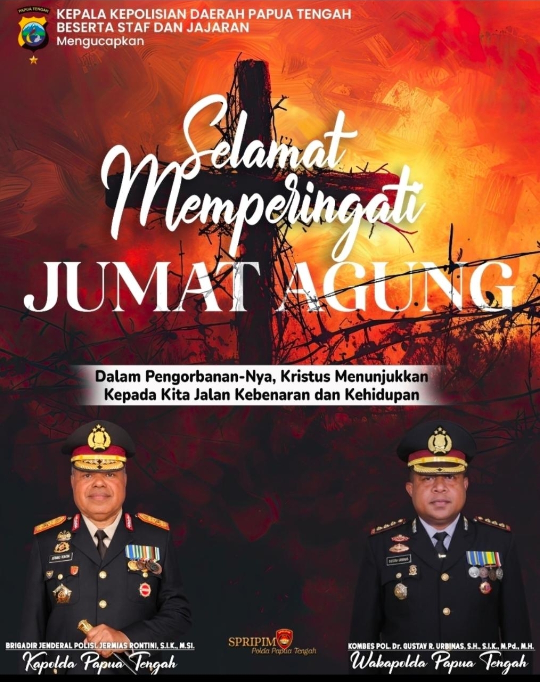 WhatsApp Image 2026-04-03 at 12.08.09 (1)