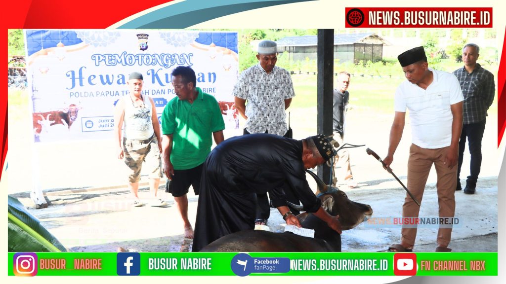 kegiatan penyembelihan hewan qurban 2025 secara khidmat dan penuh makna. Kegiatan ini berlangsung di Garasi Dalmas Sat Samapta Polres Nabire, Jumat pagi (6/6/2025) (Foto: HUmas Polres Nabire)