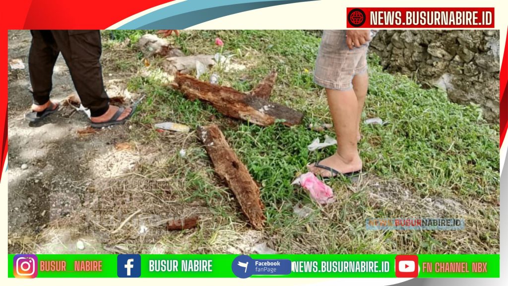 pelepah Kayu yang sempat di tabrak NS hingga Jatuh