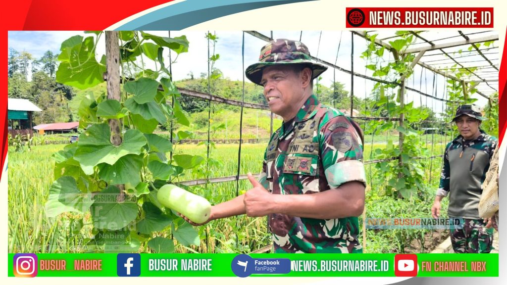 Panen Raya Perdana, Korem 173/PVB Cetak Sejarah Ketahanan Pangan Nabire (Foto: BusurNabire)