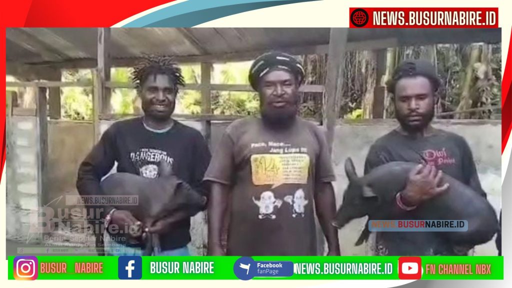 Kepala Suku Lani Apresiasi Presiden Prabowo, Sebut Bantuan Babi Simbol Kepedulian untuk Papua (Foto: Busur Nabire)