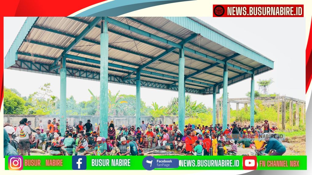 Acara kemudian ditutup dengan syukuran melalui tradisi bakar batu, diikuti oleh sekitar 500 masyarakat dari berbagai suku di wilayah Meepago (Foto: Busur Nabire)