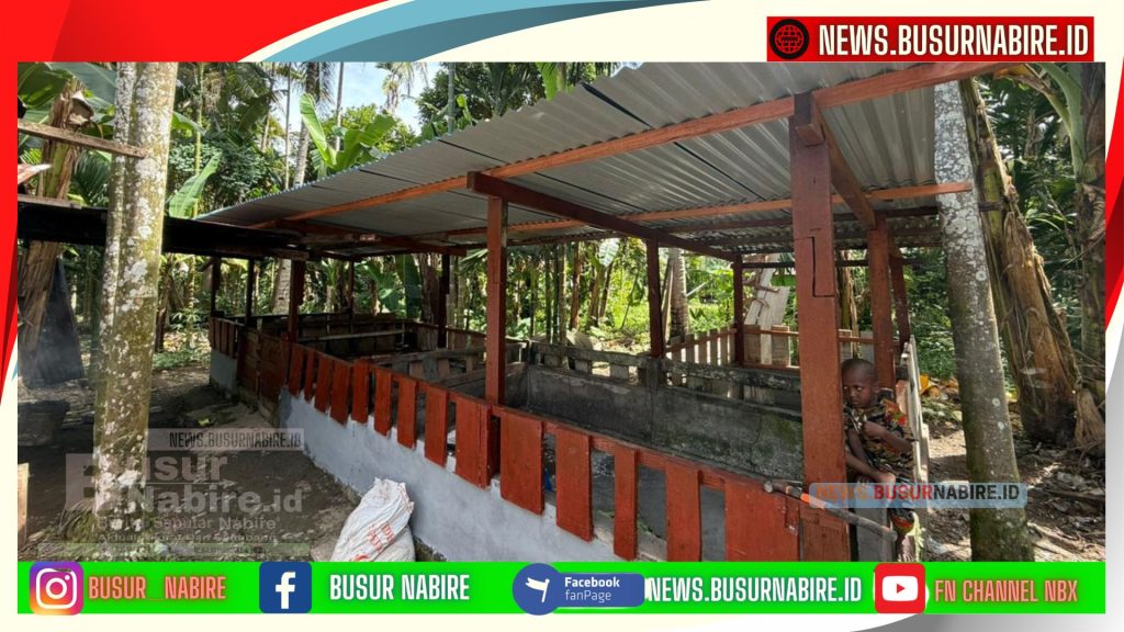 Bantuan Presiden Prabowo Subianto Bawa Sukacita, Suku Nayak Nabire Terima Kandang dan Bibit Babi (Foto: Busur Nabire)