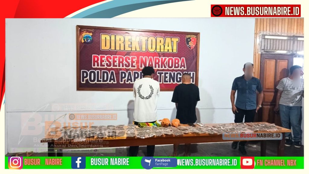 Polda Papua Tengah Bongkar Jaringan Ganja Internasional, WNA Ditangkap di Nabire (Foto: Humas Polda Papua Tengah)