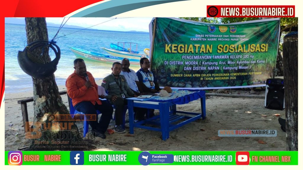 Kementan RI Gelontorkan Program 100 Hektare Kelapa di Nabire,Meki Nawipa Targetkan Papua Tengah Jadi Sentra Kelapa Timur Indonesia