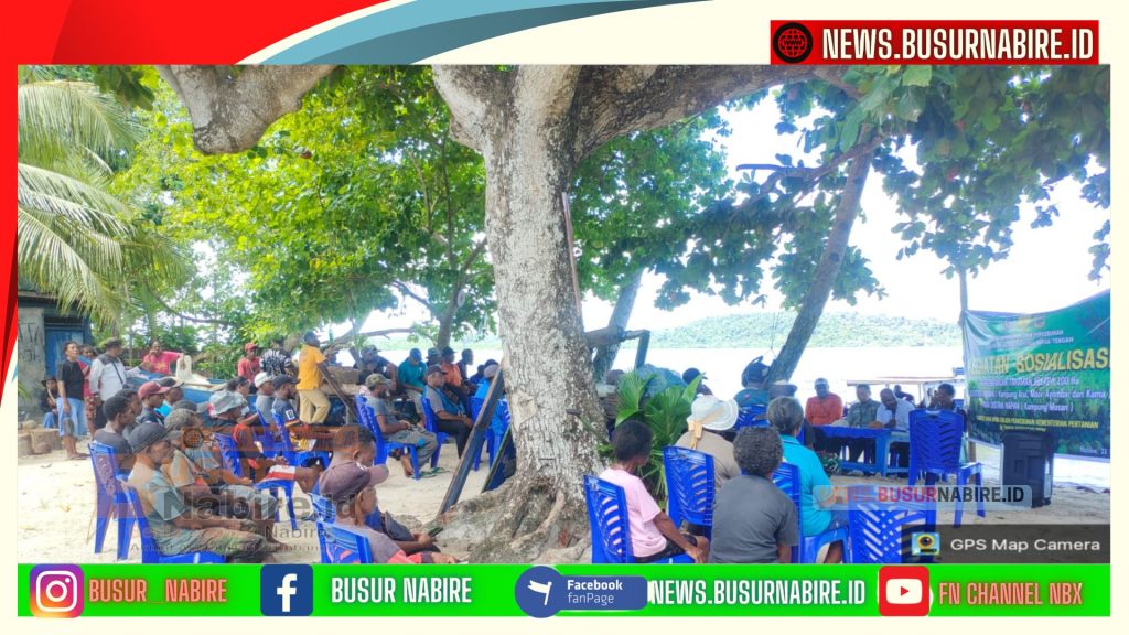 Kementan RI Gelontorkan Program 100 Hektare Kelapa di Nabire,Meki Nawipa Targetkan Papua Tengah Jadi Sentra Kelapa Timur Indonesia