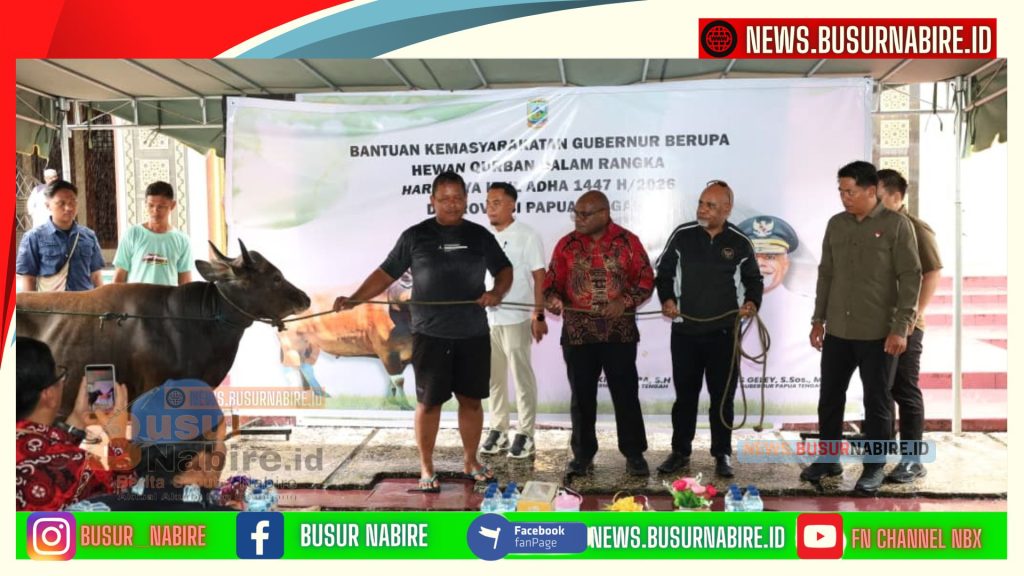 Meki Nawipa Salurkan Hewan Kurban, Pererat Kebersamaan Umat di Papua Tengah (Foto: BusurNabire)