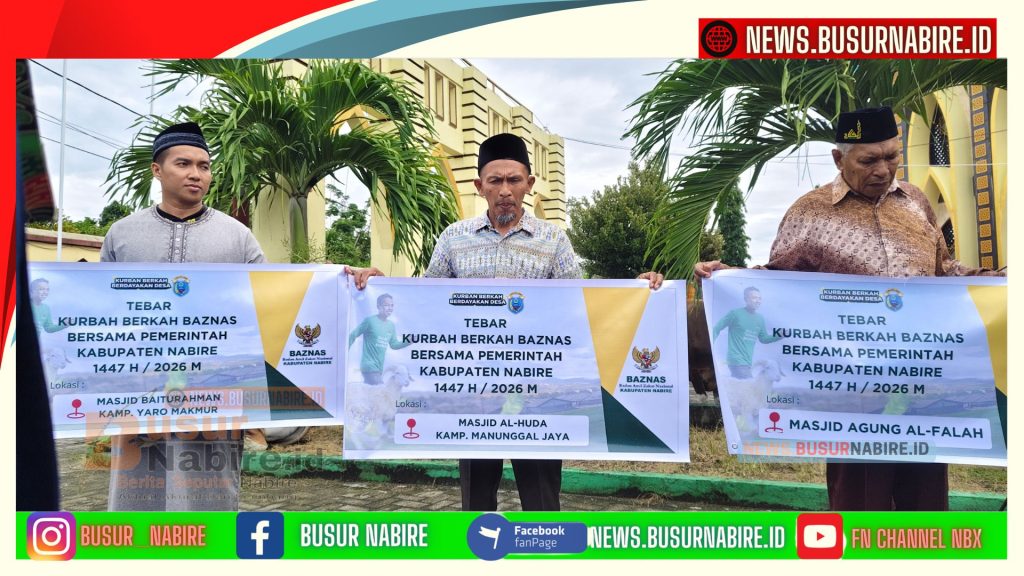 Bupati Nabire Salurkan 25 Sapi Kurban, Perkuat Kepedulian Sosial hingga Kampung (Foto: BusurNabire)