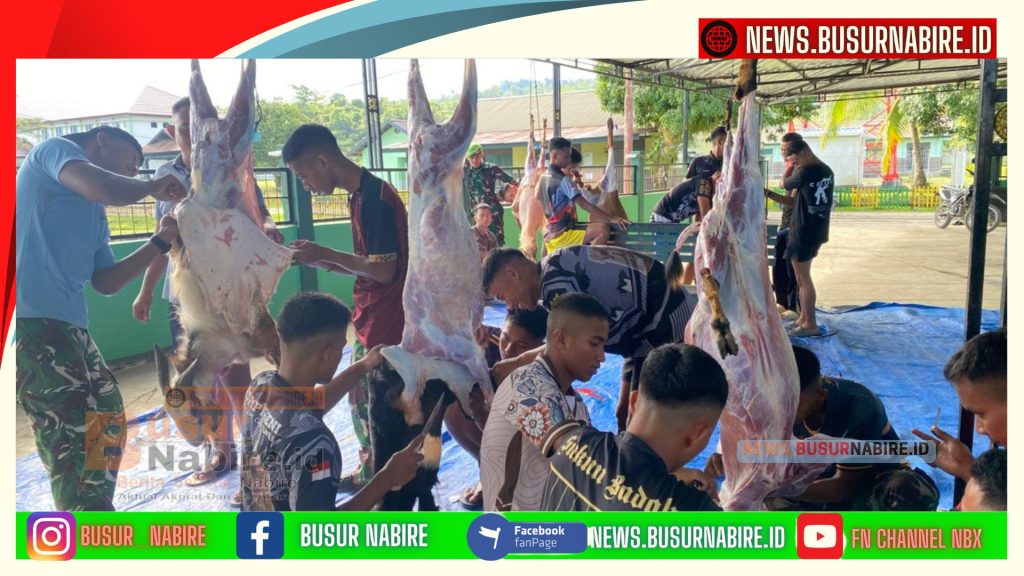 Sambut Idul Adha 1447 Hijriah, Yonif TP 804/DBAY Tebar Kepedulian Lewat Kurban