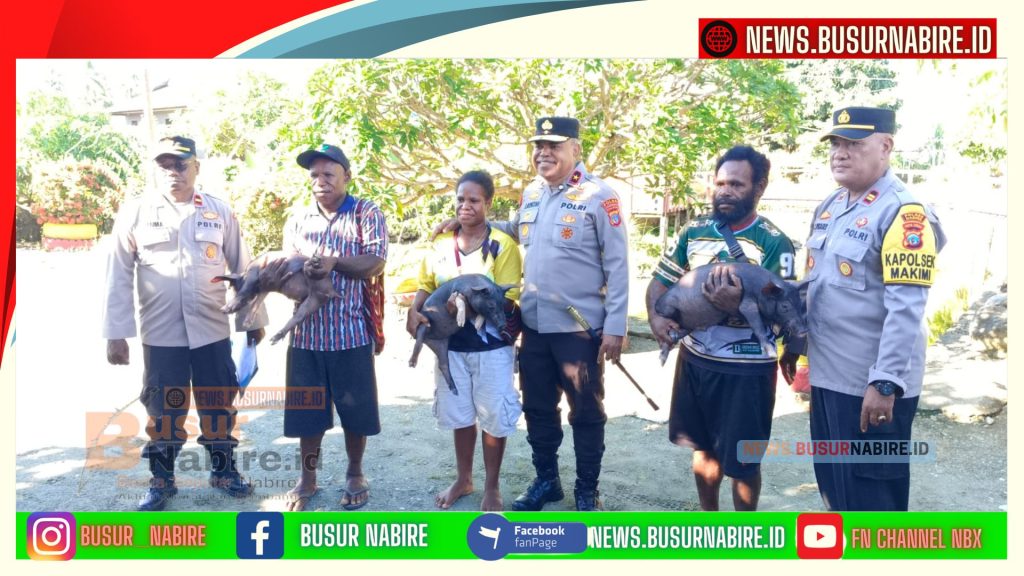 Kapolda Papua Tengah Dorong Kemandirian Ekonomi Warga Makimi Lewat Bantuan Ternak Babi (Foto: BusurNabire)