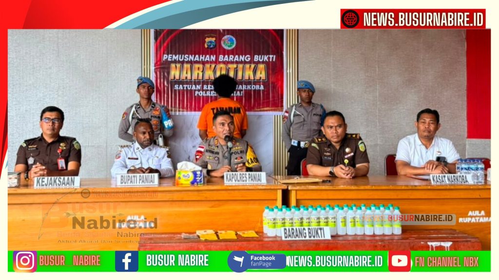 Kajari Nabire Tegaskan Perang Total Narkoba Saat Pemusnahan Ganja di Paniai (Foto: Kejari Nabire)