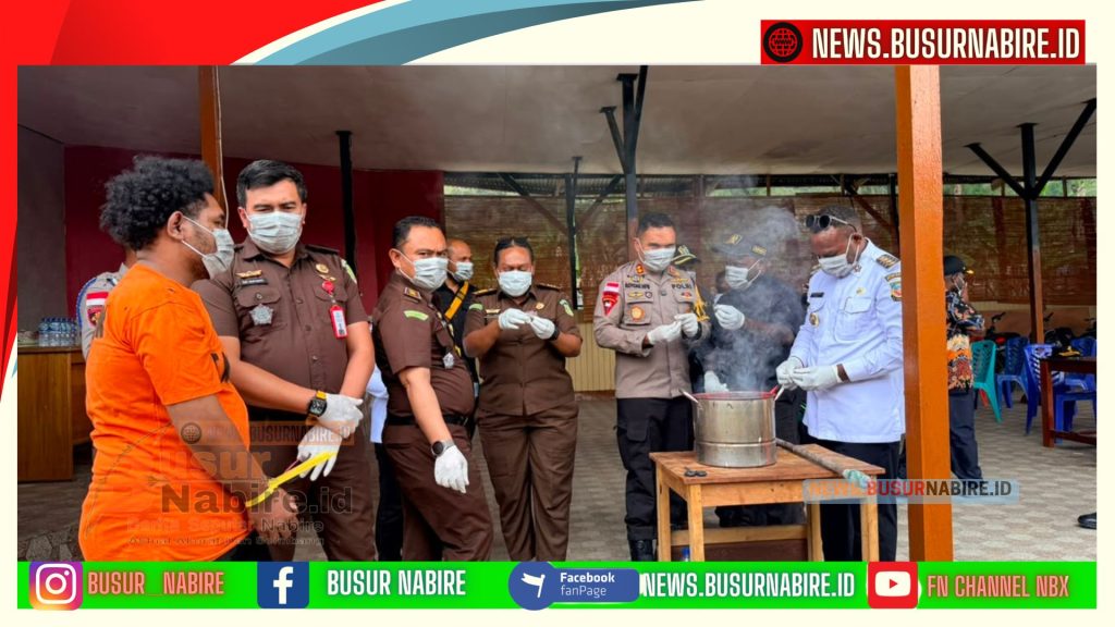 Kajari Nabire Tegaskan Perang Total Narkoba Saat Pemusnahan Ganja di Paniai (Foto: Kejari Nabire)