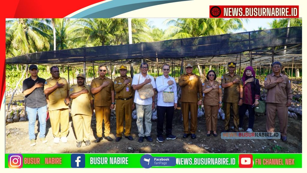 Resmi Dimulai! Nabire Terima 3,016 Juta Bibit Kakao dari Kementan, Langkah Besar Bangkitkan Ekonomi Petani (Foto: BusurNabire)