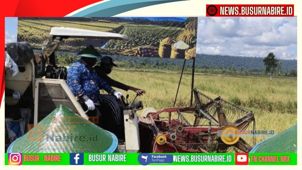 Meki Nawipa Tegaskan Petani Pilar Utama Ketahanan Pangan Papua Tengah Menuju Kemandirian Berkelanjutan (Foto: BusurNabire)