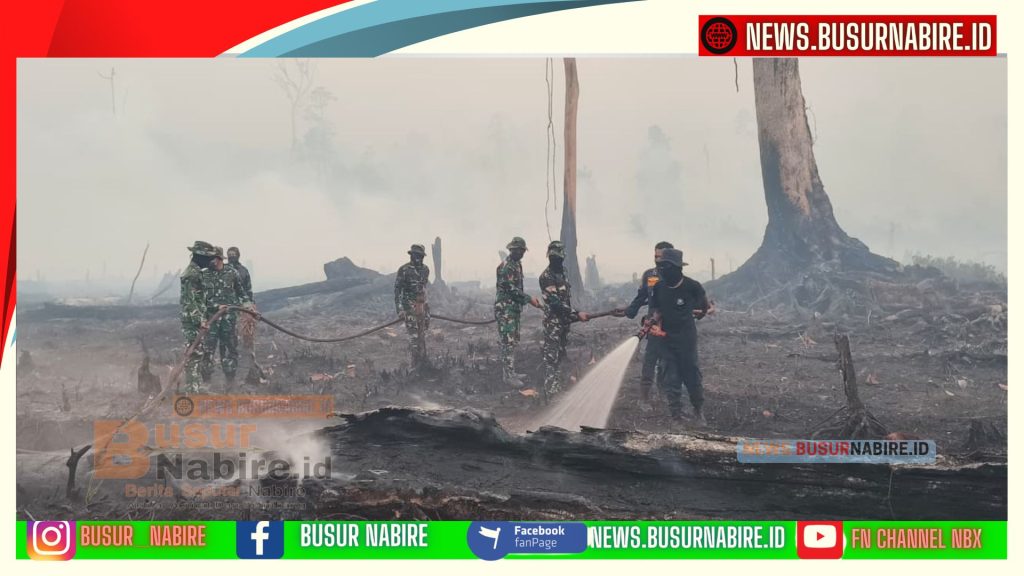 TNI Bergerak Cepat, 95 Persen Api Kebakaran Lahan Waroki Berhasil Dipadamkan (Foto: BusurNabire)