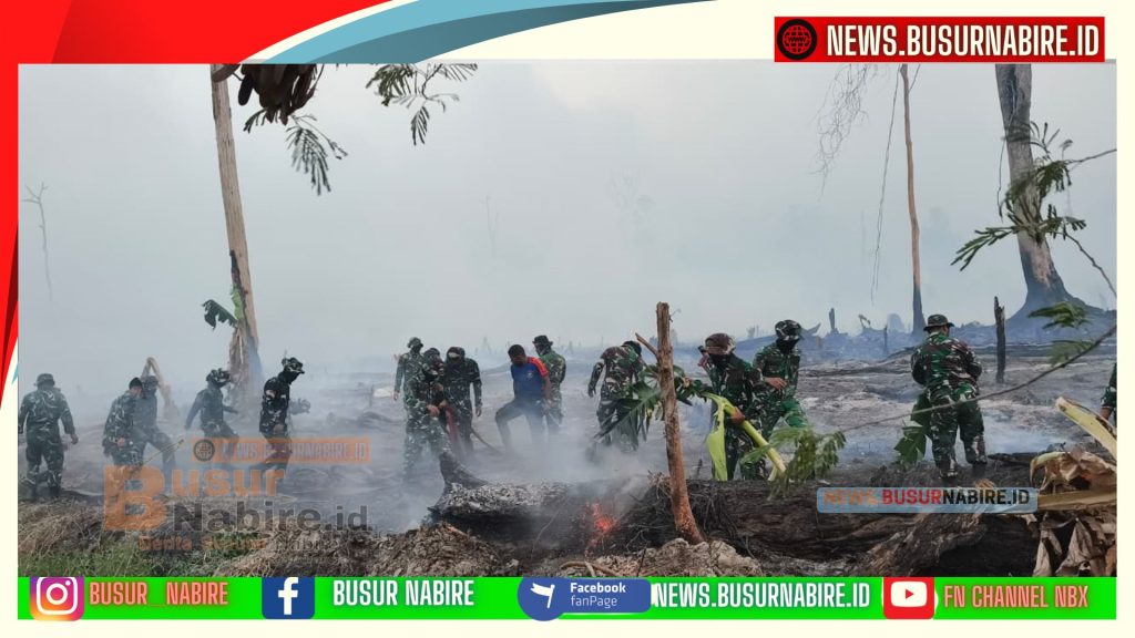 TNI Bergerak Cepat, 95 Persen Api Kebakaran Lahan Waroki Berhasil Dipadamkan (Foto: BusurNabire)