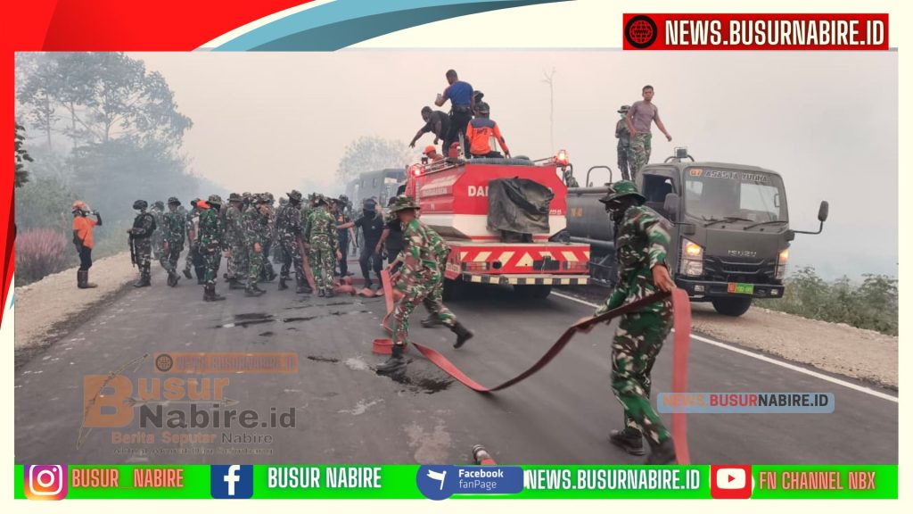 TNI Bergerak Cepat, 95 Persen Api Kebakaran Lahan Waroki Berhasil Dipadamkan (Foto: BusurNabire)