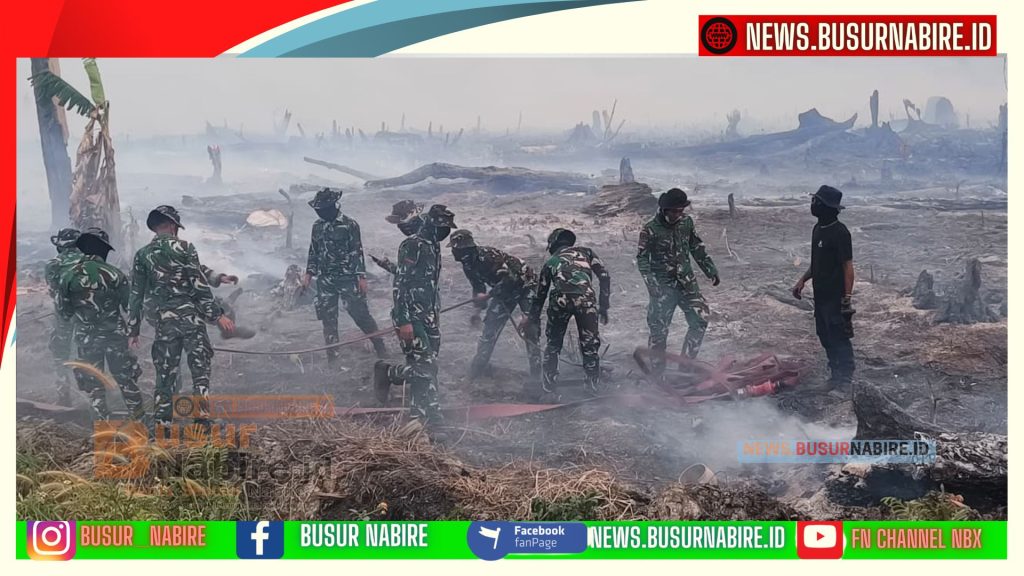 TNI Bergerak Cepat, 95 Persen Api Kebakaran Lahan Waroki Berhasil Dipadamkan (Foto: BusurNabire)
