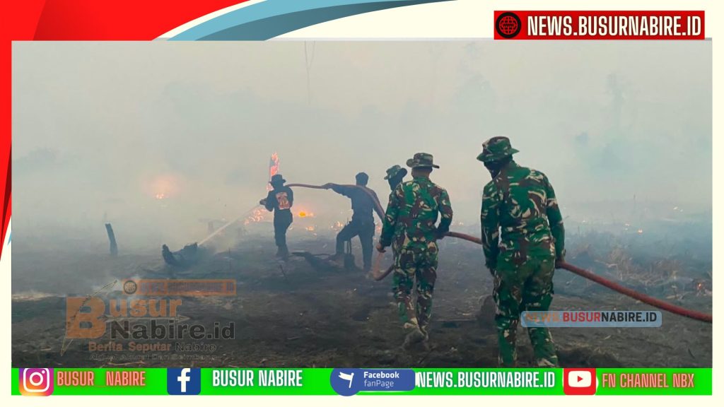 Yonif TP 804/DBAY Perkuat Penanganan Karhutla di Nabire (Foto: BusurNabire)