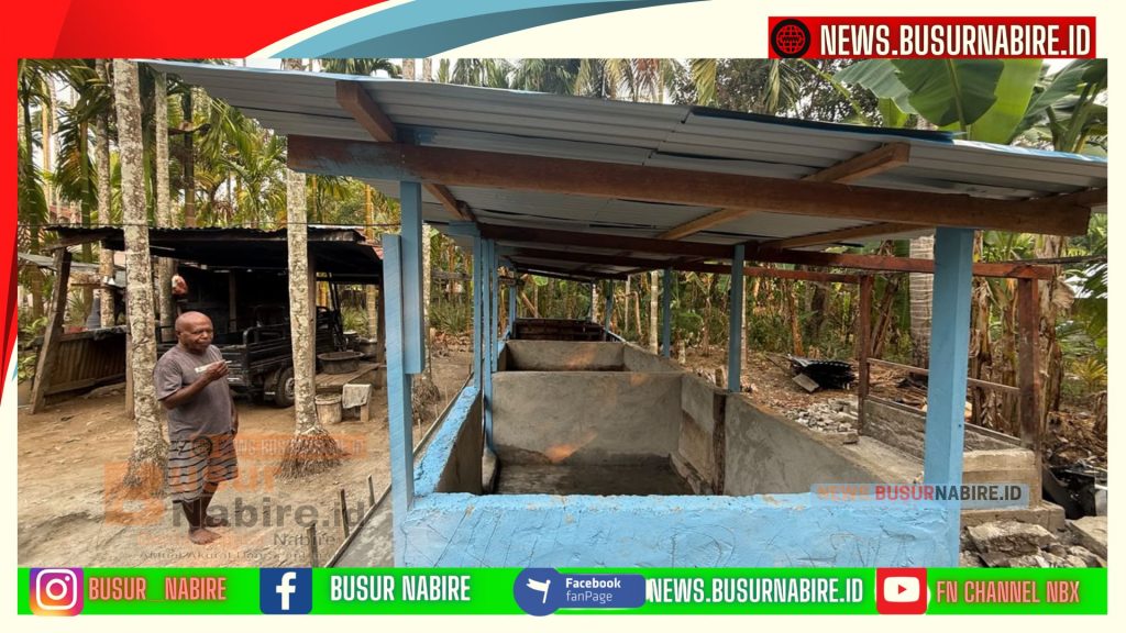 Piter Hubi Terima Bantuan Ternak Babi, Perkuat Ekonomi Suku Nayak Nabire (Foto: BusurNabire)