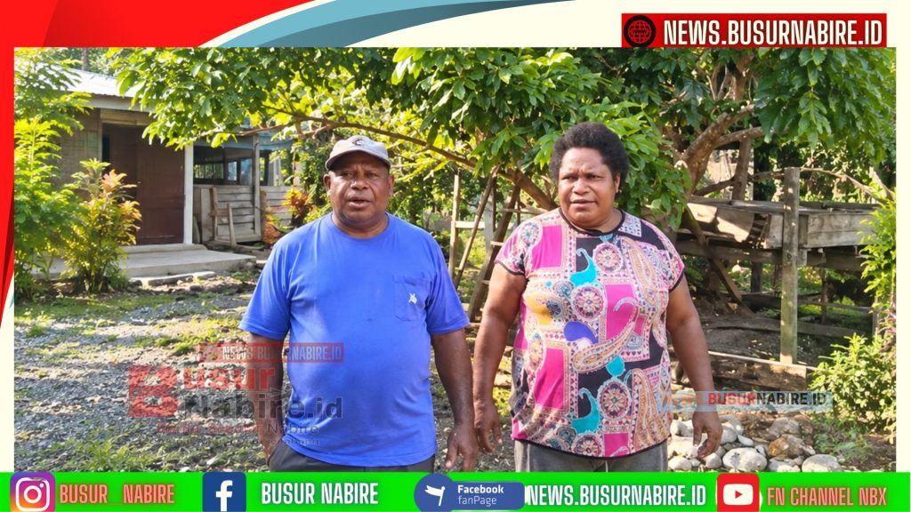Musa Kobogau Terima Bantuan Rehabilitasi Kandang Babi, Dorong Ekonomi Masyarakat Adat Nabire