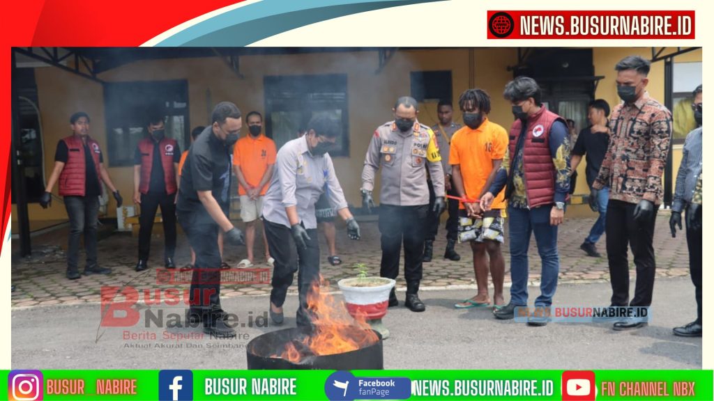 Polres Mimika Musnahkan Sabu dan Ganja Senilai Rp520 Juta, 28 Tersangka Narkoba Ditangkap dalam Tiga Bulan (Foto: Humas POlres Mimika)